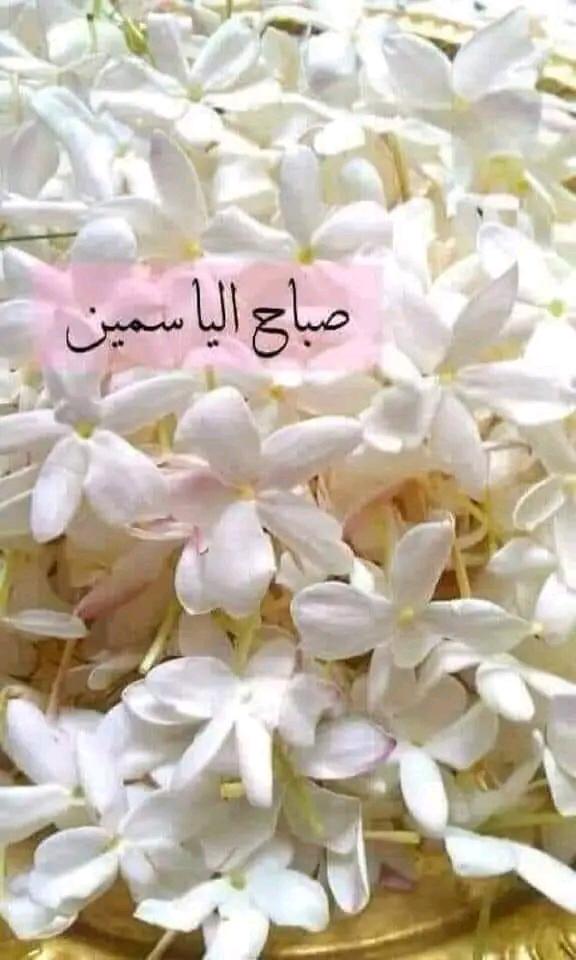 Ahmadwe87 (@ahmadwe87) on Twitter photo 