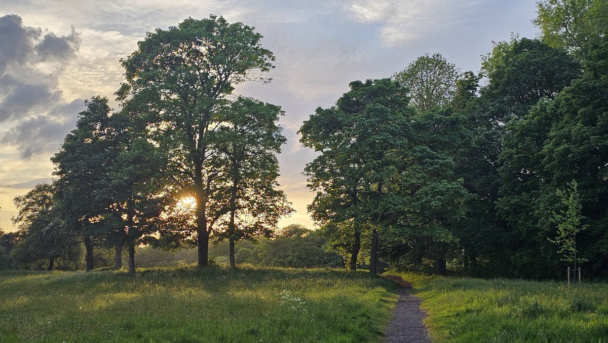 What a beautiful night it is in #SeftonPark