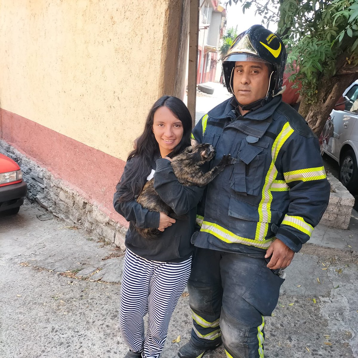 Acudimos a rescatar a un gatito que se encontraba en un árbol 🐈 en calle Andador 15, colonia Calzada las Águilas, en @AlcaldiaAO @JefeVulcanoCova