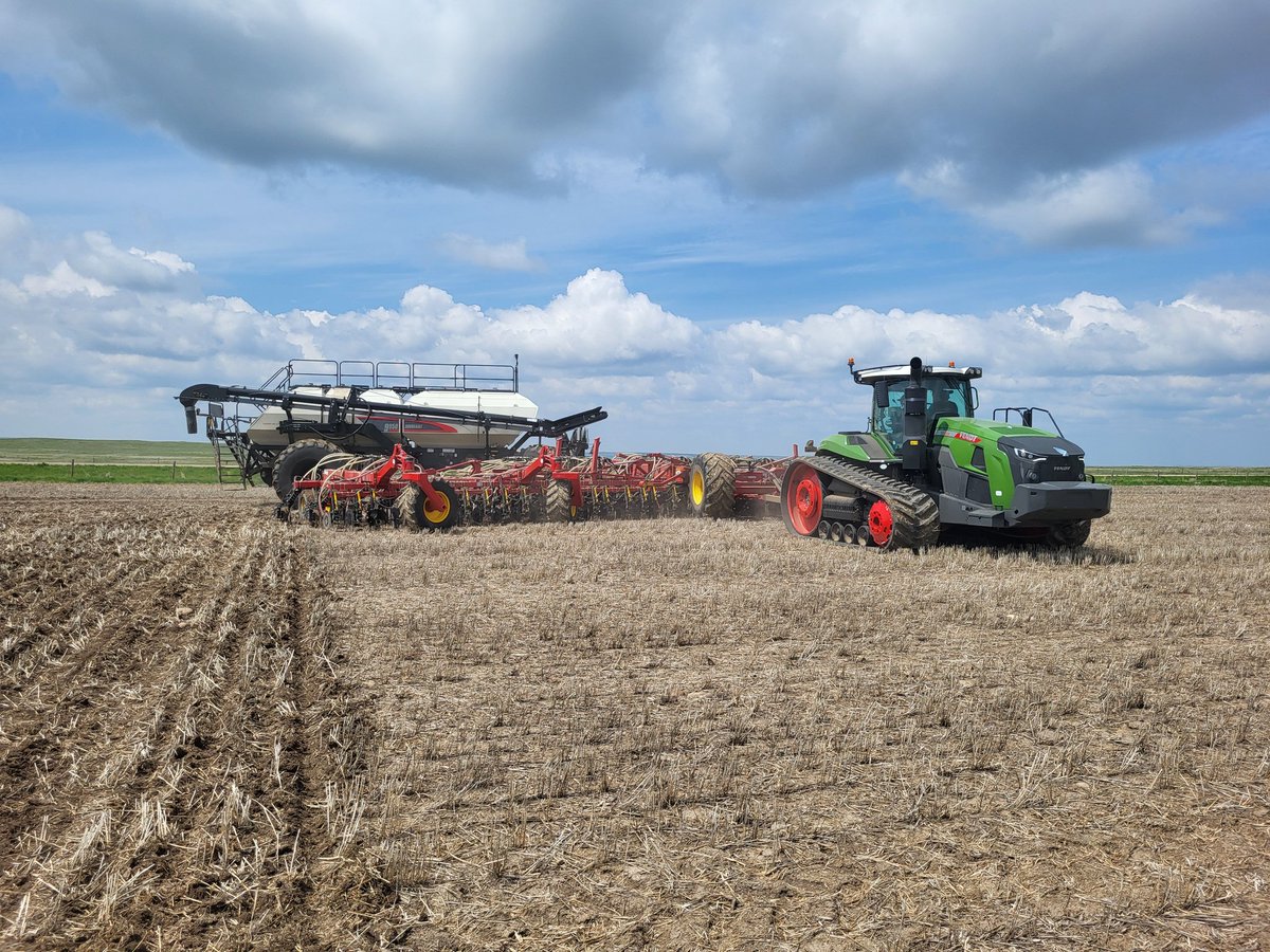 Beauty of a day to #plant24 @canterraseeds #canola trial at Spring Creek Colony! Thx @AgroPlusSolns for help & to @BrettYoungSeeds @PioneerSeedsCA @DEKALB_Canada @BASFAgSolutions @BrevantSeedsCA #westcdnag