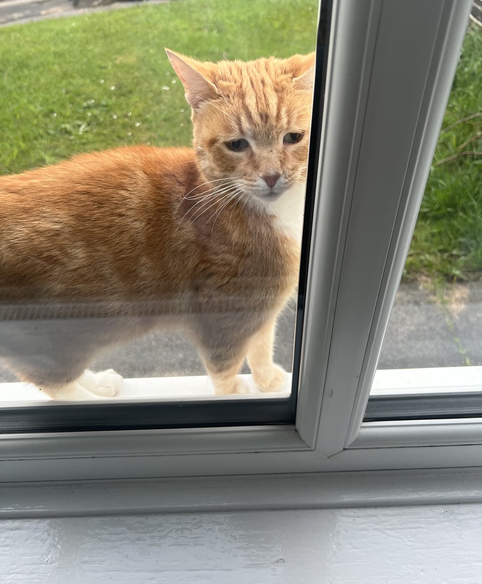 TrojanCodes's tweet image. dude just came around 😂