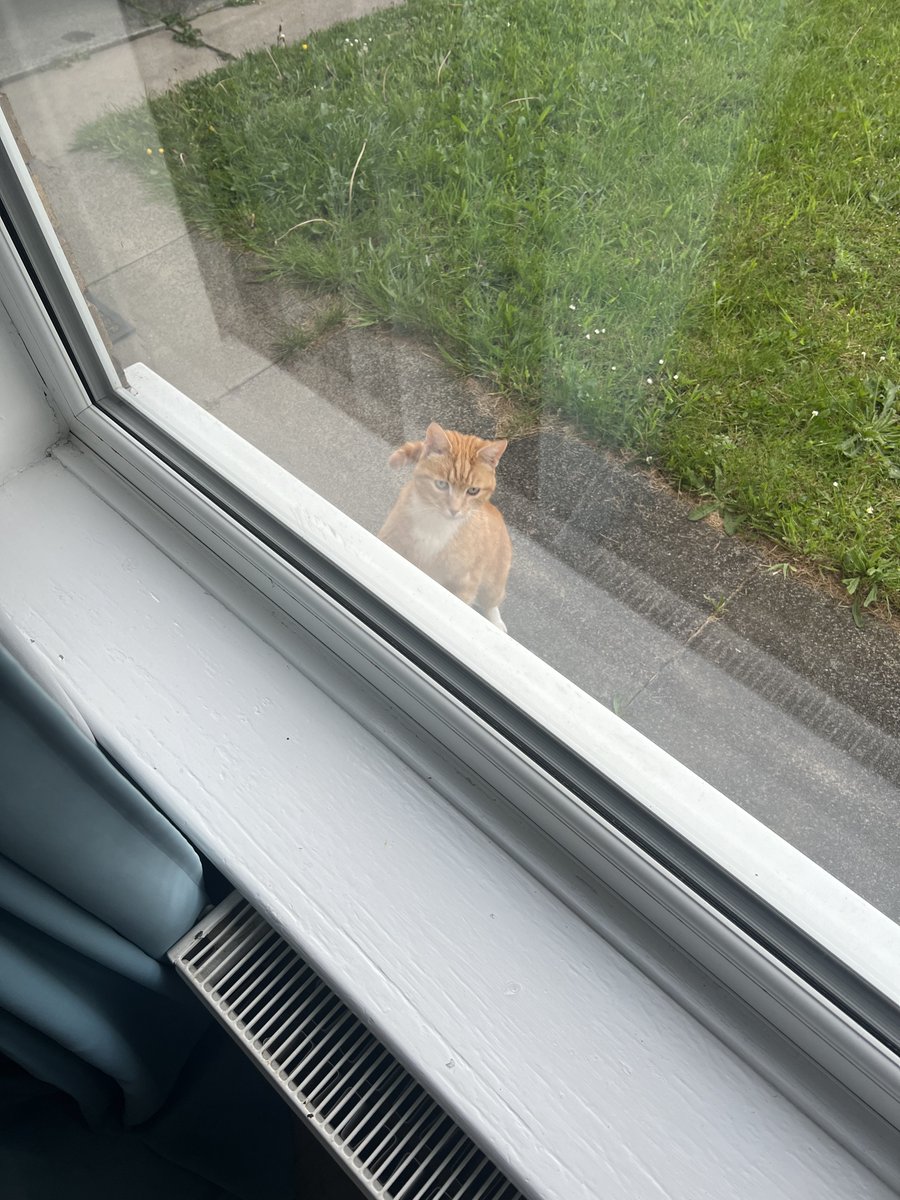 TrojanCodes's tweet image. dude just came around 😂