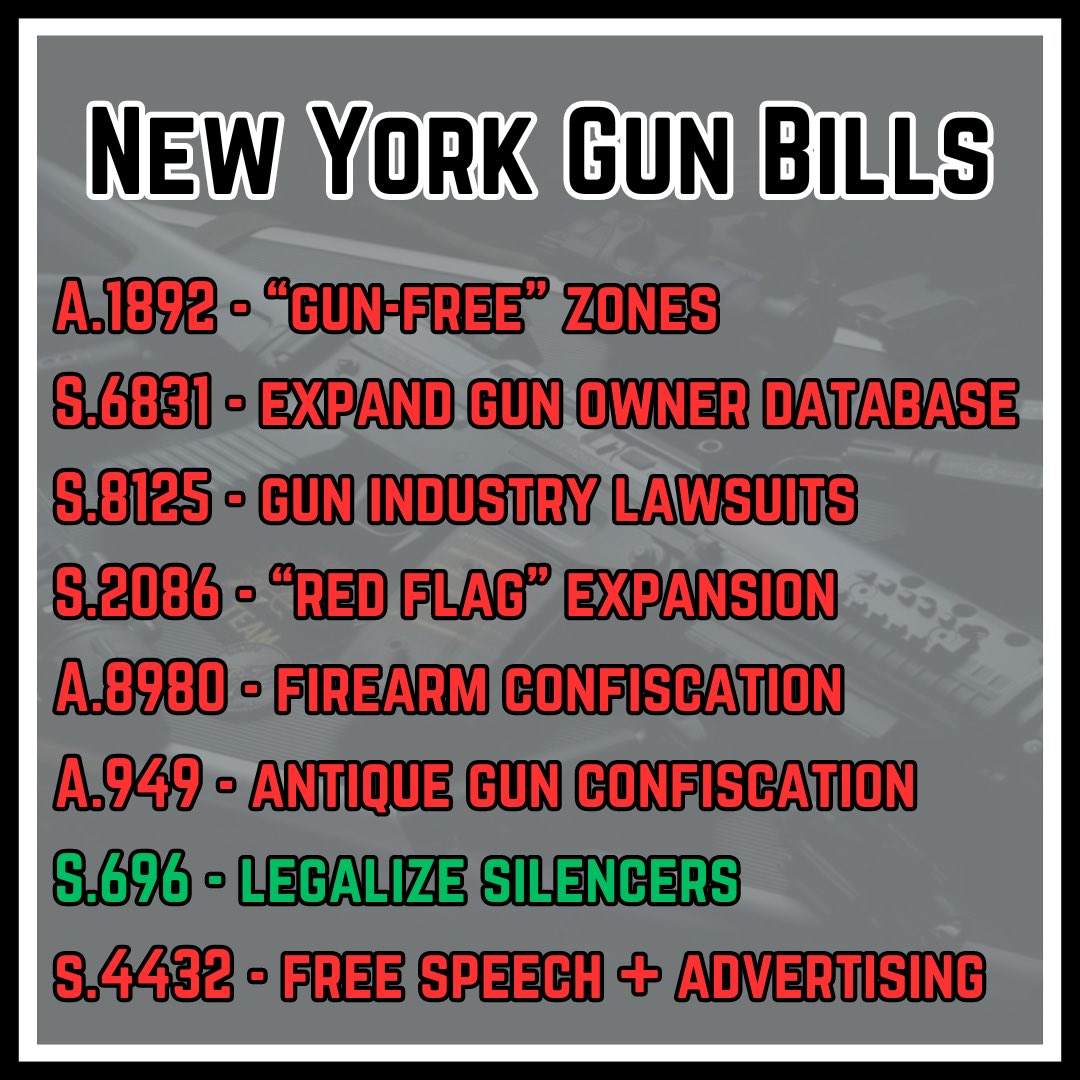 LibertyAngelo's tweet image. There is no shortage of insane ideas from the radicals in Albany.

#NewYork #ProGun