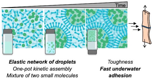 Research conducted by Prof. Seunghyun Sim &amp; Dr. Hyuna Jo, on "Elastic Network of Droplets for Underwater Adhesives" was recently published in the <a href="/J_A_C_S/">J. Am. Chem. Soc.</a>.