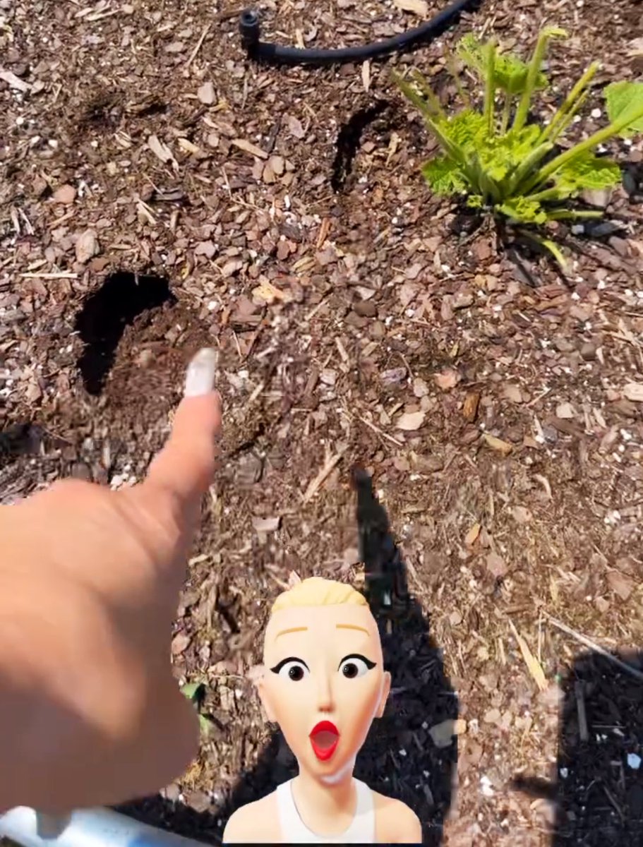 Blake and Gwen are currently investigating a crime scene. 😅🐾
#BlakeShelton #GwenStefani #Oklahoma
📸 @gwenstefani ig story