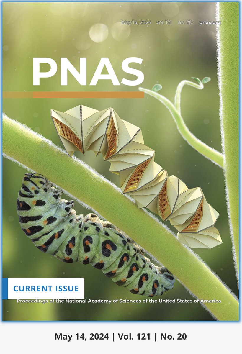 Glaucio H. Paulino (@ghpaulino) on Twitter photo Our new paper in origami robotics just made the cover of PNAS - check it out! <a href="/Princeton/">Princeton University</a> <a href="/EPrinceton/">Princeton Engineering</a> <a href="/PrincetonMSE/">Princeton Materials Institute</a> <a href="/PrincetonCST/">Princeton Center on Science & Technology</a> <a href="/ncstatemae/">NC State MAE</a> bit.ly/4bF9uZY Our new paper in origami robotics just made the cover of PNAS - check it out! <a href="/Princeton/">Princeton University</a> <a href="/EPrinceton/">Princeton Engineering</a> <a href="/PrincetonMSE/">Princeton Materials Institute</a> <a href="/PrincetonCST/">Princeton Center on Science & Technology</a> <a href="/ncstatemae/">NC State MAE</a> bit.ly/4bF9uZY