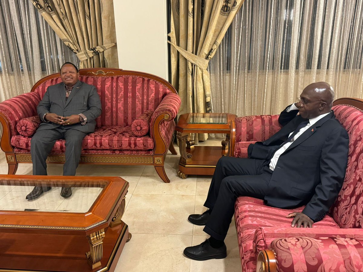 The images portray the arrival, this Tuesday evening, 14/05, in Luanda, of the Minister of Foreign Affairs and International Trade of the Republic of Zimbabwe, Frederick Musiiwa Makamure Shava.