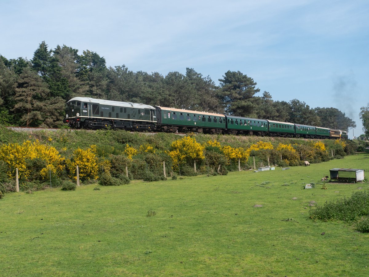 D5054 Phil Southern on tour. Seen heading back from River Frome Viaduct passing Creech BTM, Swanage Railway 11/05/24
