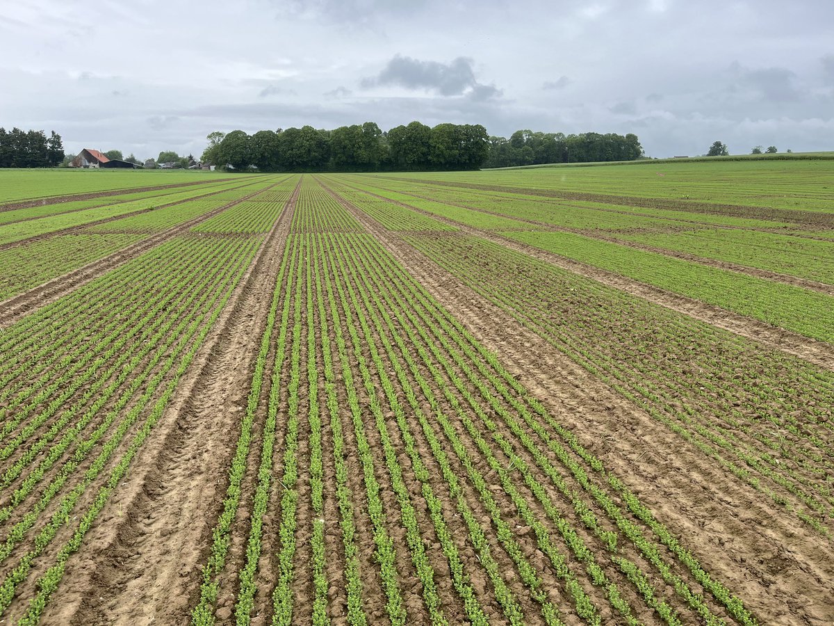 benoit_nmd's tweet image. De très belles levées sur nos plate-forme de recherche #linfibre @ArvalisHdF