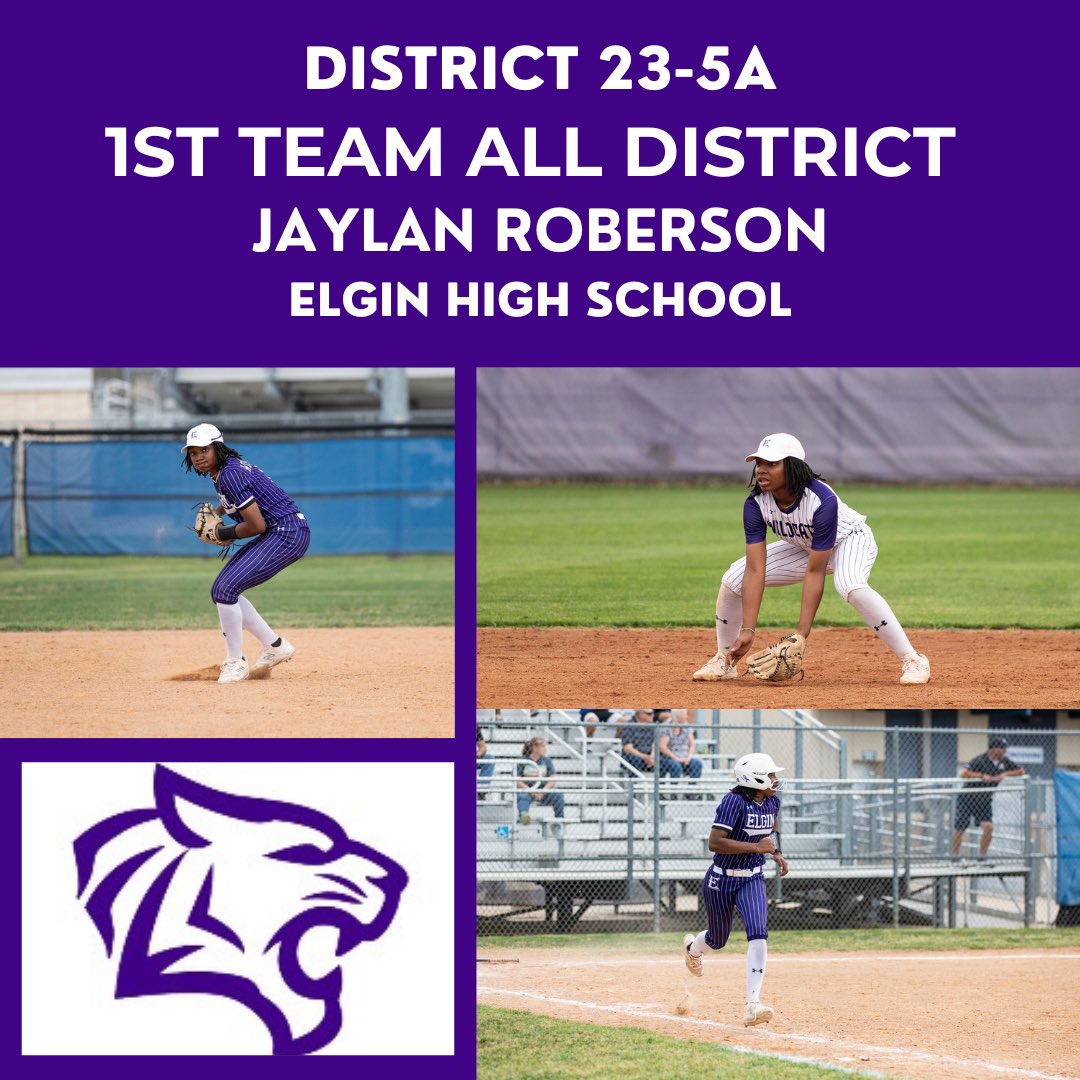 Elgin Softball tweet media