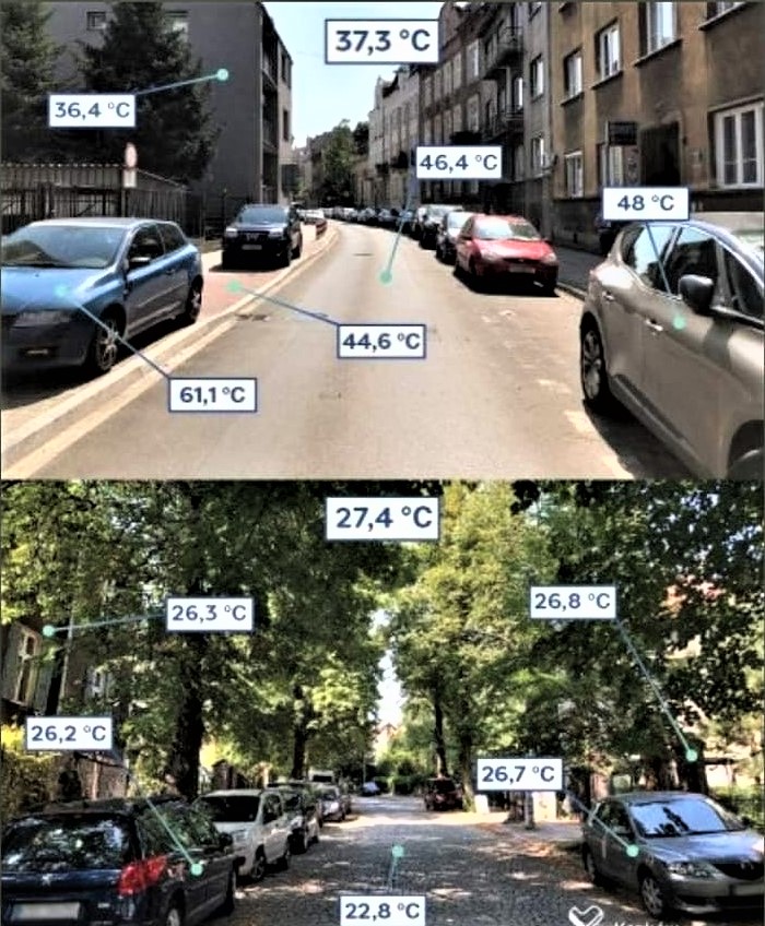 Green is a mission tweet media