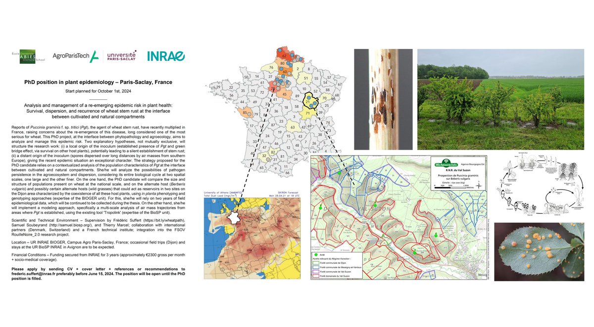 📣 Open #PhD #position @INRAE_France 👨‍🎓 in plant disease #epidemiology #phytopathology #agroecology to work on stem rust of wheat with me in collab @s_soubeyrand. Join our group @INRAE_Bioger and contribute to exciting groundbreaking research! Apply ▶️ …ioger.versailles-grignon.hub.inrae.fr/teams/adep-ada…
