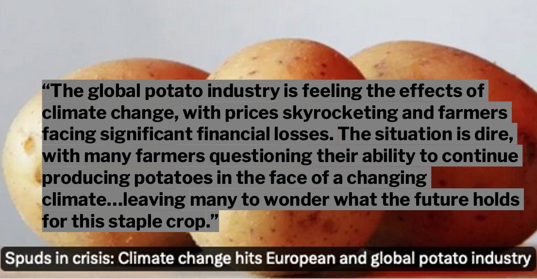 The latest from Potato News Today- potatonewstoday.com/2024/05/14/spu…