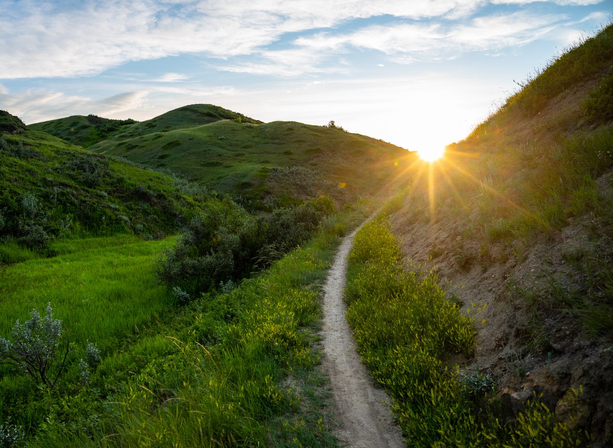 In partnership with @lethpolice and the Watch Program, a new outreach model will provide an enhanced service for the vulnerable population as well as the community at large.  Read more on the 2024 Encampment Strategy Strategic Updates here: lethbridge.ca/news/posts/cit… #yql