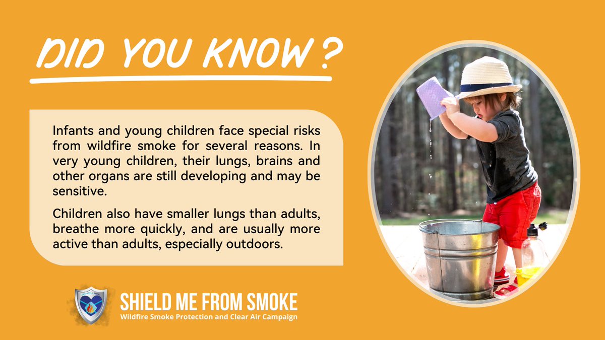 Under heavy smoke conditions, everyone is at risk regardless of their health or age. However, some are at higher risk of health problems when exposed to wildfire smoke. To learn more, visit our website: donatemask.ca/shield-me-from… #WildfireSmoke #Wildfires #ShieldMeFromSmoke