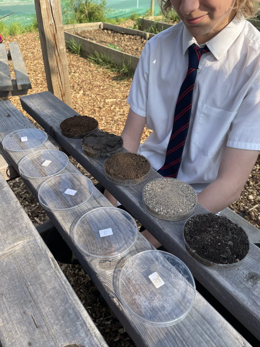 Back 2 Nature | Llantwit Major School (@back2naturella1) on Twitter photo Year 9 scientists gathering soil samples with Mr Jones. They will do pH testing and then see which one will grow the best bean 👌🏻🌱🪴 <a href="/LlantwitMajorSc/">LlantwitMajorSchool</a> Year 9 scientists gathering soil samples with Mr Jones. They will do pH testing and then see which one will grow the best bean 👌🏻🌱🪴 <a href="/LlantwitMajorSc/">LlantwitMajorSchool</a>