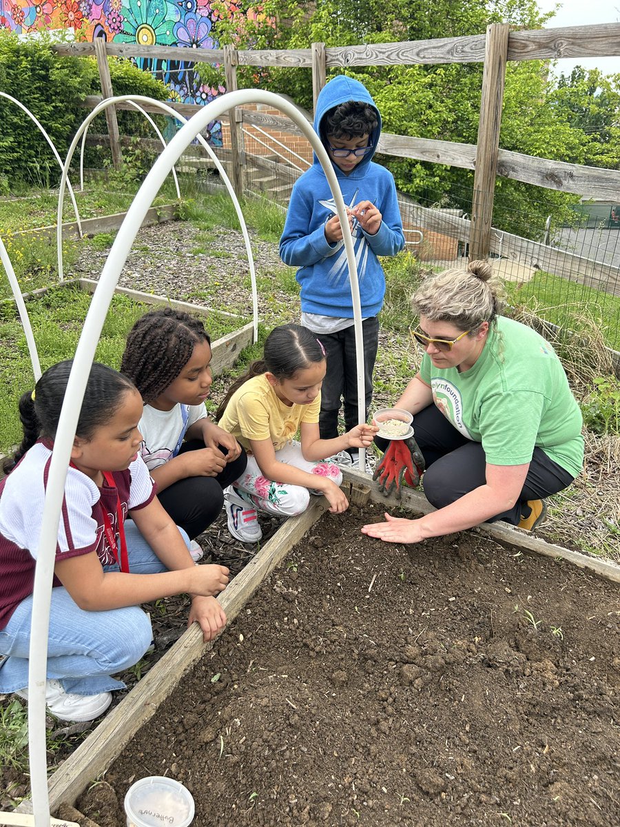 3rd Grade got to plant with The Kellyn Foundation today at the Donegan Garden. The students learned a lot about growing their own food! 🌶️🥕🥬 @kellynorg @DoneganBASD @BethlehemAreaSD #werise