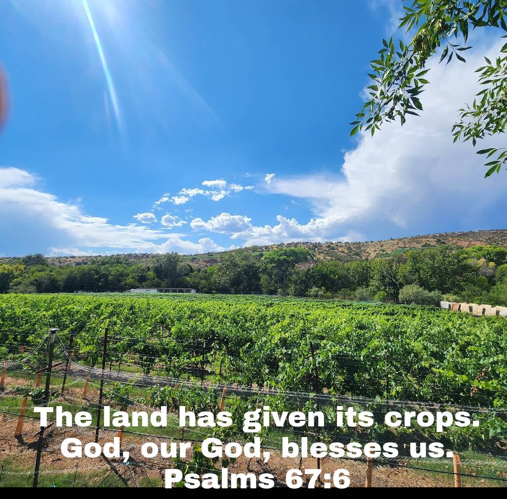 #Land  #Produces  #Crops  #Blessing  #Harvest
#TheWord
#JesusSaves
#TheMessageDaily