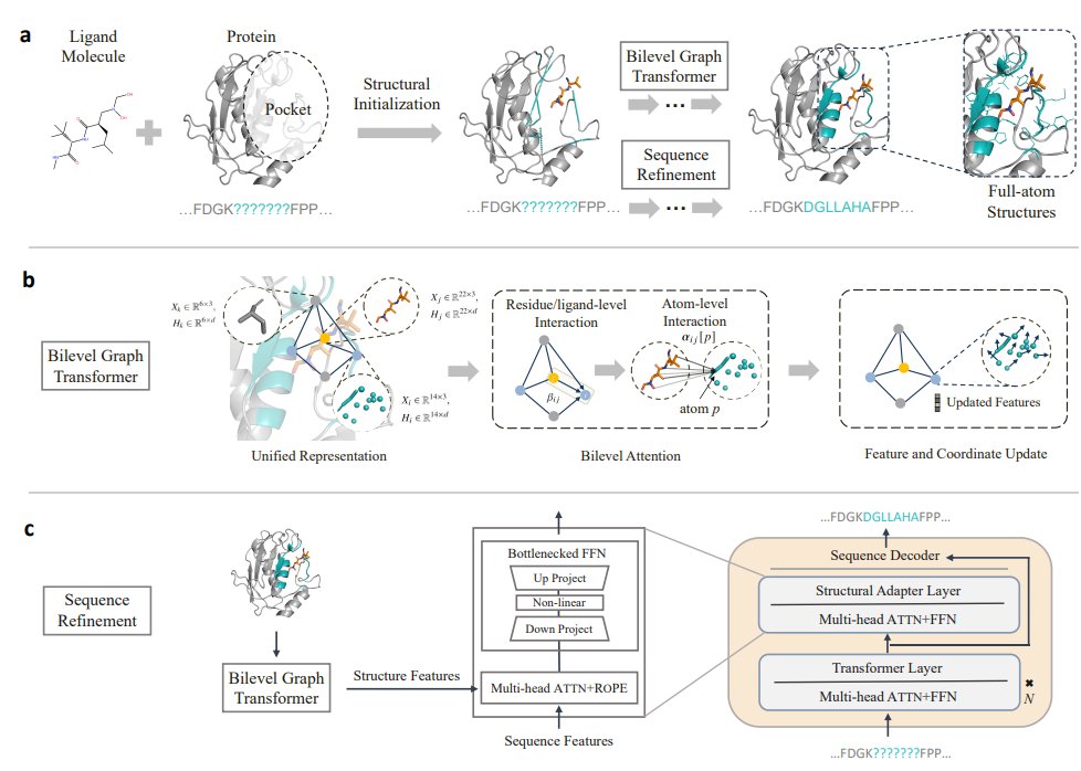 PocketGen: Generating Full-Atom Ligand-Binding Protein Pockets - Co-designs the residue sequence and full-atom structure of protein pockets for binding - Uses a bilevel graph transformer to model multi-granularity (atom and residue/ligand level) and multi-aspect (intra-protein