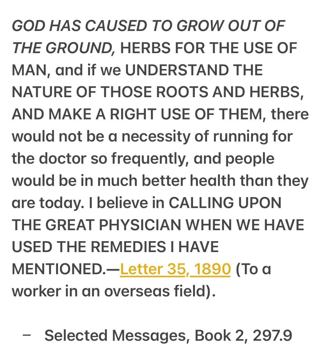 Remedies and the Great Physician m.egwwritings.org/en/book/99.178… #great #physician #herbs #plants #remedy #truth #AdventistYouth #ellenwhite #quoteoftheday #truthbetold #adventistchurch