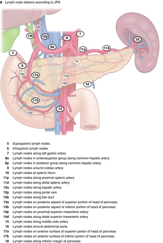 The definition of ‘left’ in left-sided pancreatectomy
-what else can, or even should, be left (behind): 
the spleen? 
lymph nodes? 
peripancreatic tissue?
<a href="/hpb_so/">SoMe4HPB</a> <a href="/BJSurgery/">BJS</a> <a href="/EAHPBA/">E-AHPBA</a> <a href="/IHPBA/">IHPBA</a>