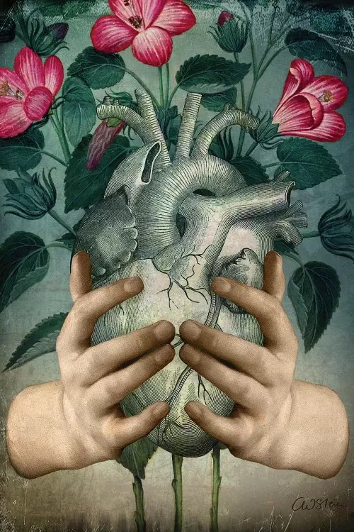 1st appt w/new cardiology group this AM. Superb physician’s assistant, Luci.  EKG = heart still in normal sinus. 🌟 Meds adjusted; echo & follow-up scheduled. I feel relieved & calm – and that’s a BIG deal for me. 🎉
🌸💚🫀🌸
🖼️Catrin Welz-Stein, Green Heart