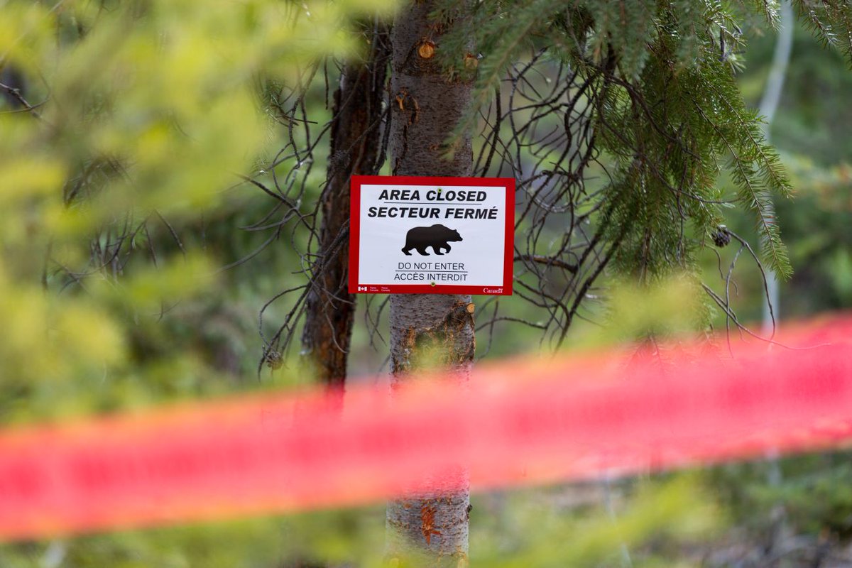 It's that time of year! 🐻⛔ An area closure is in effect on Trail 7 due to grizzly and black bears frequenting the area. parks.canada.ca/pn-np/ab/jaspe… Report all aggressive wildlife encounters to Parks Canada Dispatch: 780-852-6155