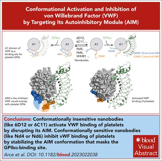 Conformationally sensitive nanobodies inhibit VWF binding of platelets by stabilizing the AIM conformation that masks the GPIbα-binding site. ow.ly/9HGJ50RGhre #thrombosisandhemostasis
