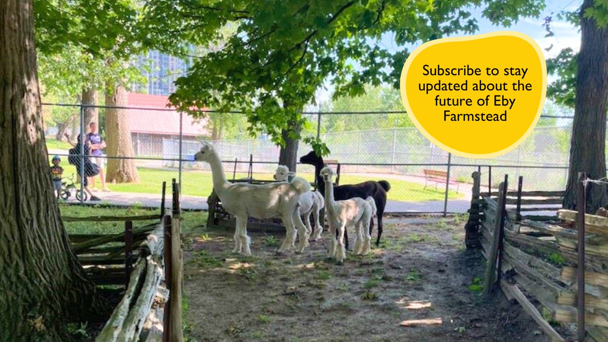Later this summer, we'll be seeking public feedback to help determine the future of Eby Farmstead, the live animal display in #WaterlooPark. For more info and updates, be sure to subscribe: engagewr.ca/eby-farmstead PS: The animals will be returning after the long weekend 🐴🦙