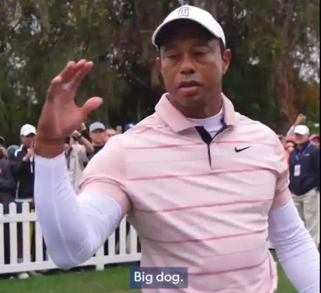 PGATUOR's tweet photo. When Tiger sees Rory and now has a fellow single divorced friend: https://t.co/QwWW7gPdN7