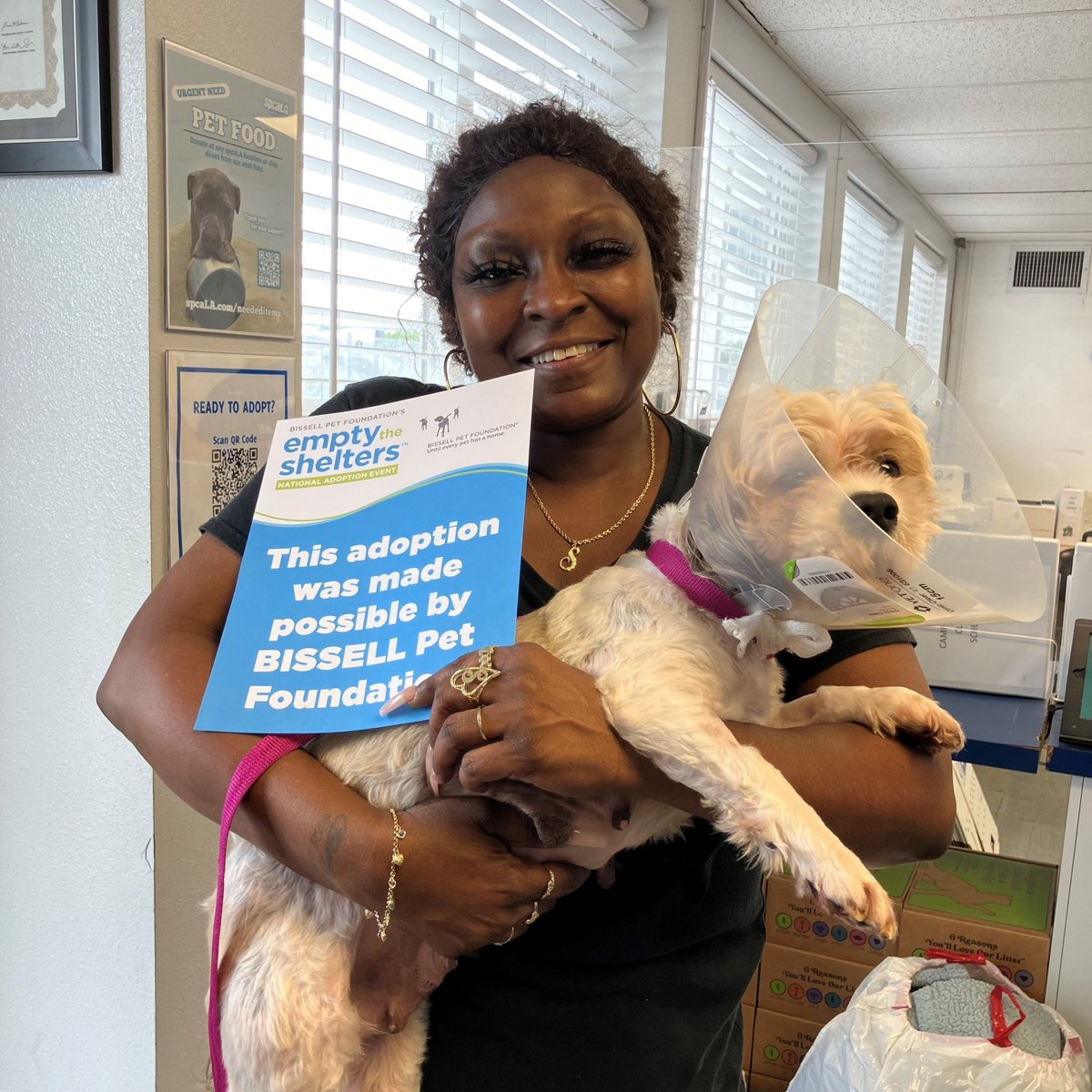 Jelly is going home! This adoption made in part by @bissellpetfoundation @cathy_bissell

Just ONE MORE DAY to adopt during #EmptyTheSheters! $50 dog adoption fees, $20 adoption fees for cats & kittens. Details t.ly/Z8GRu

#FriendsForLife #HappyAdoption #AdoptDontShop