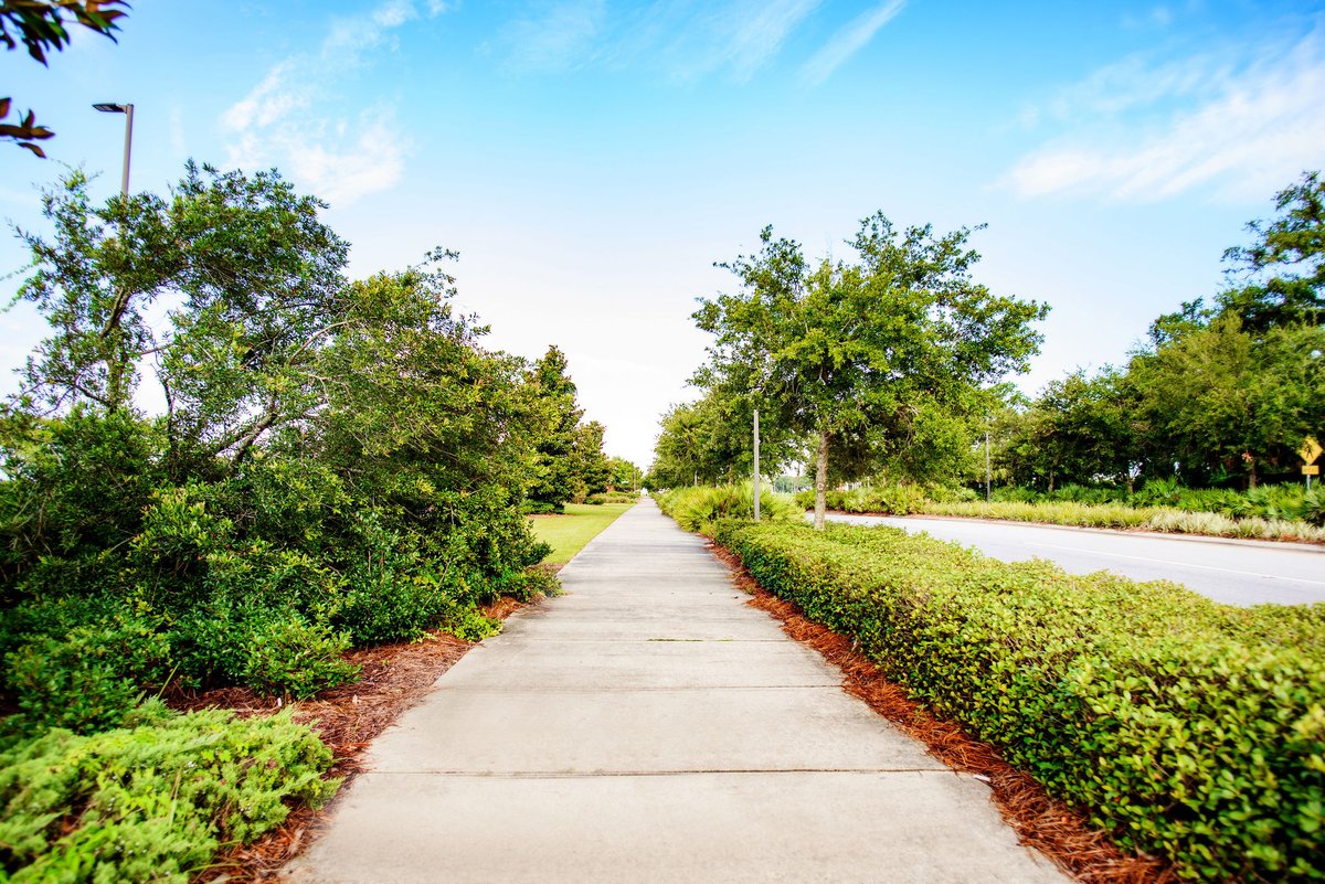 From walkways to water features, hardscaping adds beauty, functionality and value.
jerrypatedesign.com/6-commercial-h…
#commercialhardscaping #hardscapeideas #commerciallandscapeideas #landscapearchitecture #landscapearchitect #urbanplanning #commerciallandscaping #jerrypatedesign