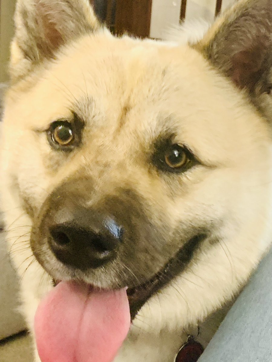 Mark and Savannah tweet media