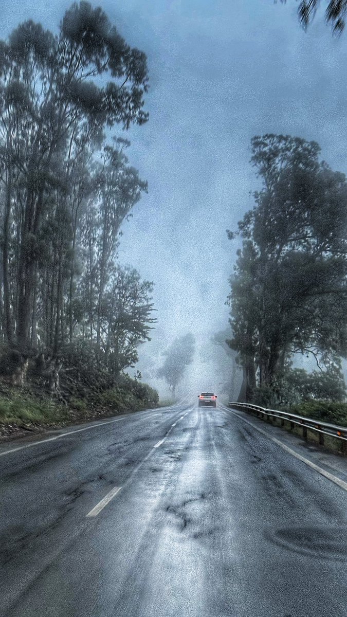 Niebla y lluvias TF-24 #dashcam #carreteras #tenerife