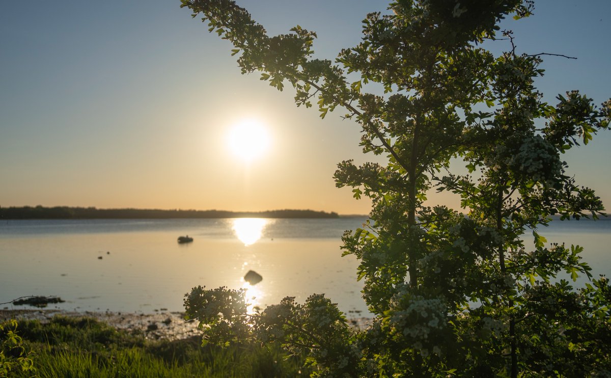 This beautiful evening at Roskilde fjord☀️

#Denmark #SonyAlpha #NaturePhotography #photooftheday #May14th #TuesdayVibes #TuesdayMood #Tuesday #sunset 

📸Dorte Hedengran