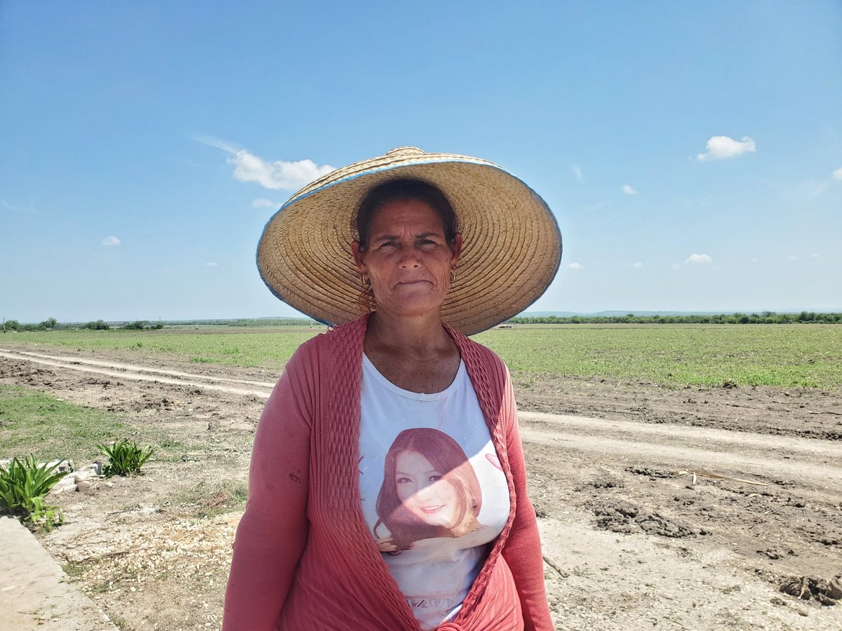 Las mujeres cubanas son una fuerza invencible de la Patria, y quien lo dude que venga a #Contramaestre y conozca a esta productora de alimentos y delegada del #PoderPopular. ¡Dislaidin Rodríguez Hernández, mis respetos por tanta entrega! #MujeresEnRevolución #SantiagoDeCuba