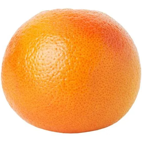 LSUResearch's tweet photo. #LSU Research Highlights shares innovations, wins while placing a grapefruit on the teacher’s desk (because mosquitos).
Explore: https://t.co/KaB5piVfR4
#ScholarshipFirst #WBTTW @LSUSRP @LSULawCenter @LSUCyber @lsuscience @LSUEngineering @LSUVetMed @LSU_CCE @LSUHSS @LSUEnergy https://t.co/vpGN6tJS9m