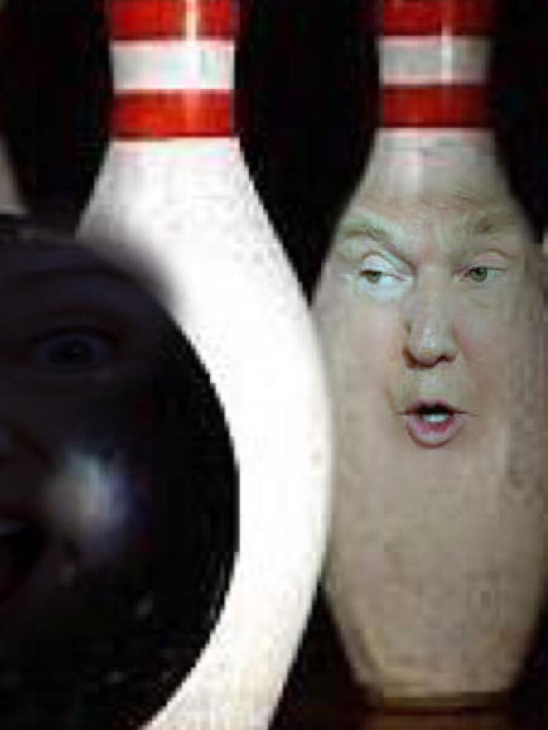 Dealing with MAGA'ts is a bit like bowling. Simply aim for the center pin (the arrows on the lane show you) throw &amp; bring them ALL down. Then a big machine just scoops them off the floor. Gone done.