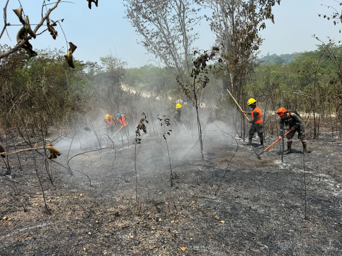 Primera Brigada de Infantería del #EjércitoGT, realizó apertura de brecha, control y supresión de incendios forestales en áreas aledañas de la Reserva Natural Itza El Zotz, en la aldea El Corozal, del municipio de San José, #Petén.
