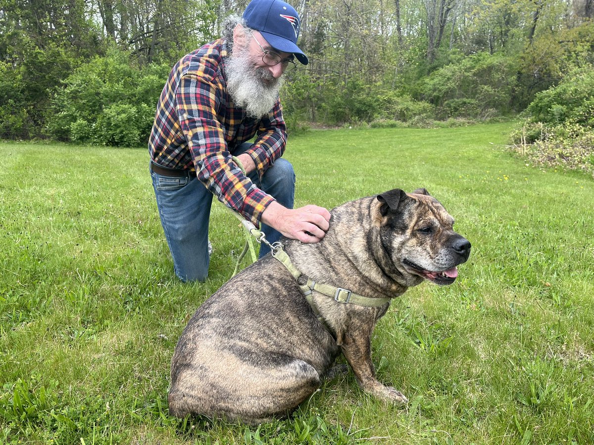 63 y/o David Fine is dying. Doctors believe he only has a few weeks left, &amp; his final wish is to find a home for his best friend ‘Babs’ before he passes. “I have to make sure she gets as many good years out of the rest of her life as I can” ..😢😢 Story @ 530 <a href="/NBC10/">NBC 10 WJAR</a>