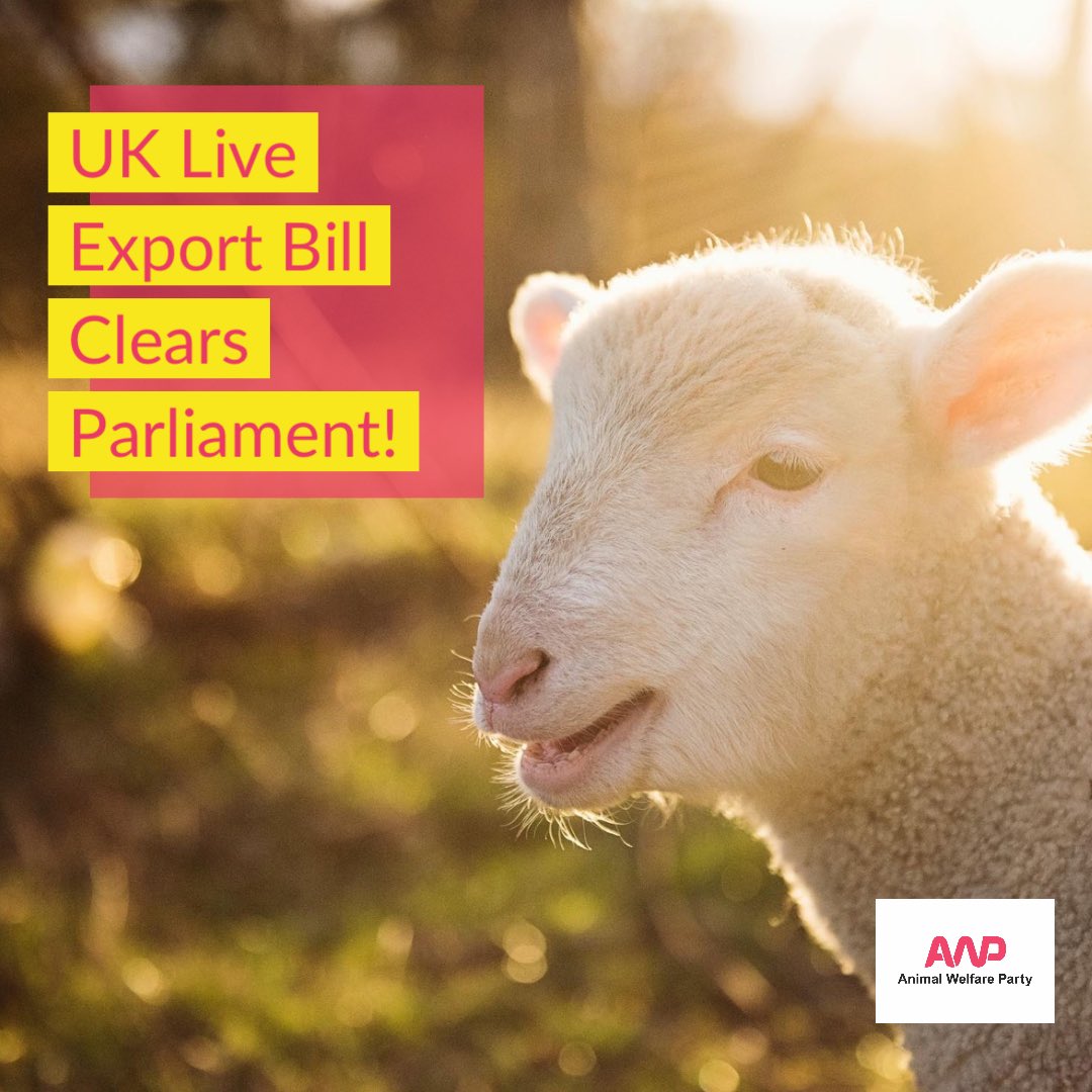 🎉 AWP is overjoyed that the Animal Welfare (Live Exports) Bill has cleared Parliament meaning the export of live animals for fattening & slaughter will finally come to an end. 👏🏼Bravo to all campaigning on this issue for decades. Inspiration for all that compassion will win!💚