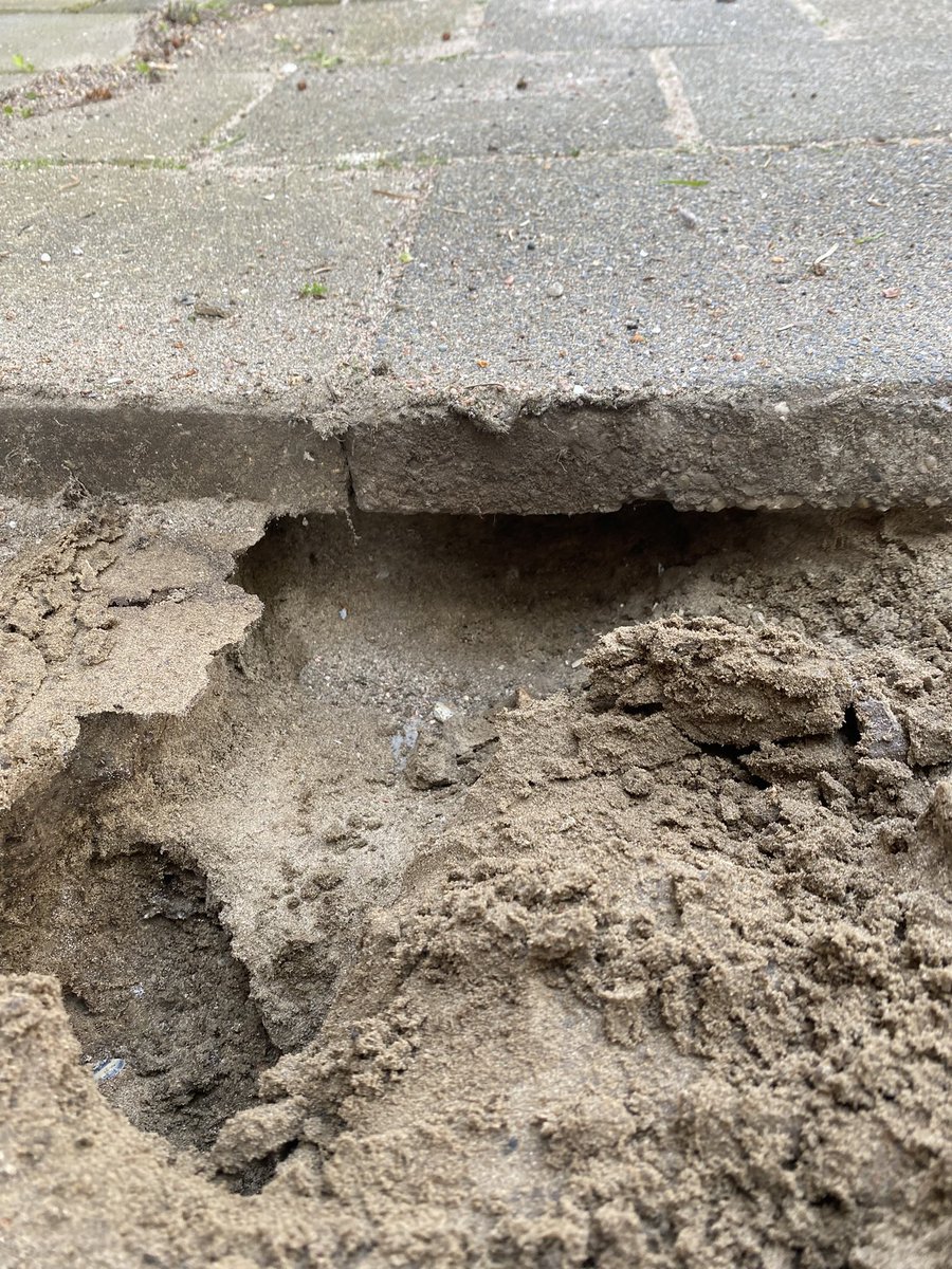 jacques ruijgh tweet media