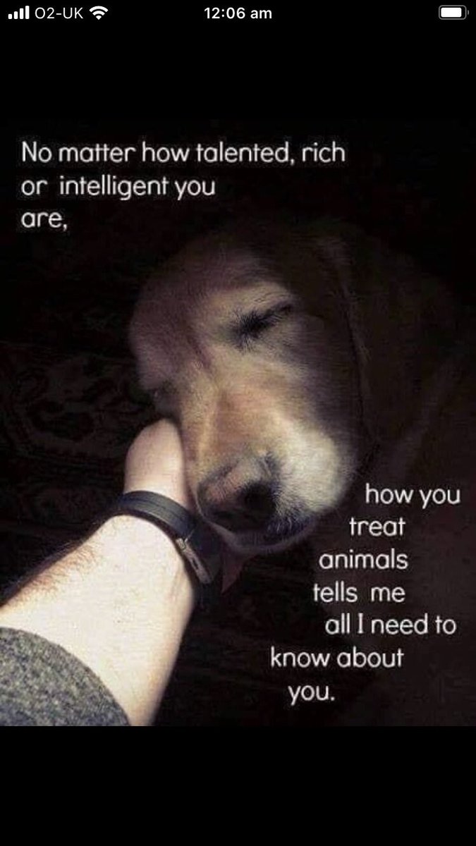 I don’t like or trust anyone that doesn’t like animals . Especially dogs . I hate people that are cruel to animals . If you don’t look after them right then you shouldn’t be allowed to own any .