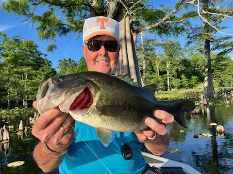 Bob & Linda Stoops from Joplin, MO bid to fish with me from the @BassFishingHOF. Linda counted & we caught/released 53 bass in the 2.5 -4lb range on a @BassProShops 6” Magnum Finesse worm with a Gamakatsu Wicked Wacky 4/0 hook.
Love these folks! I asked them to please come back!