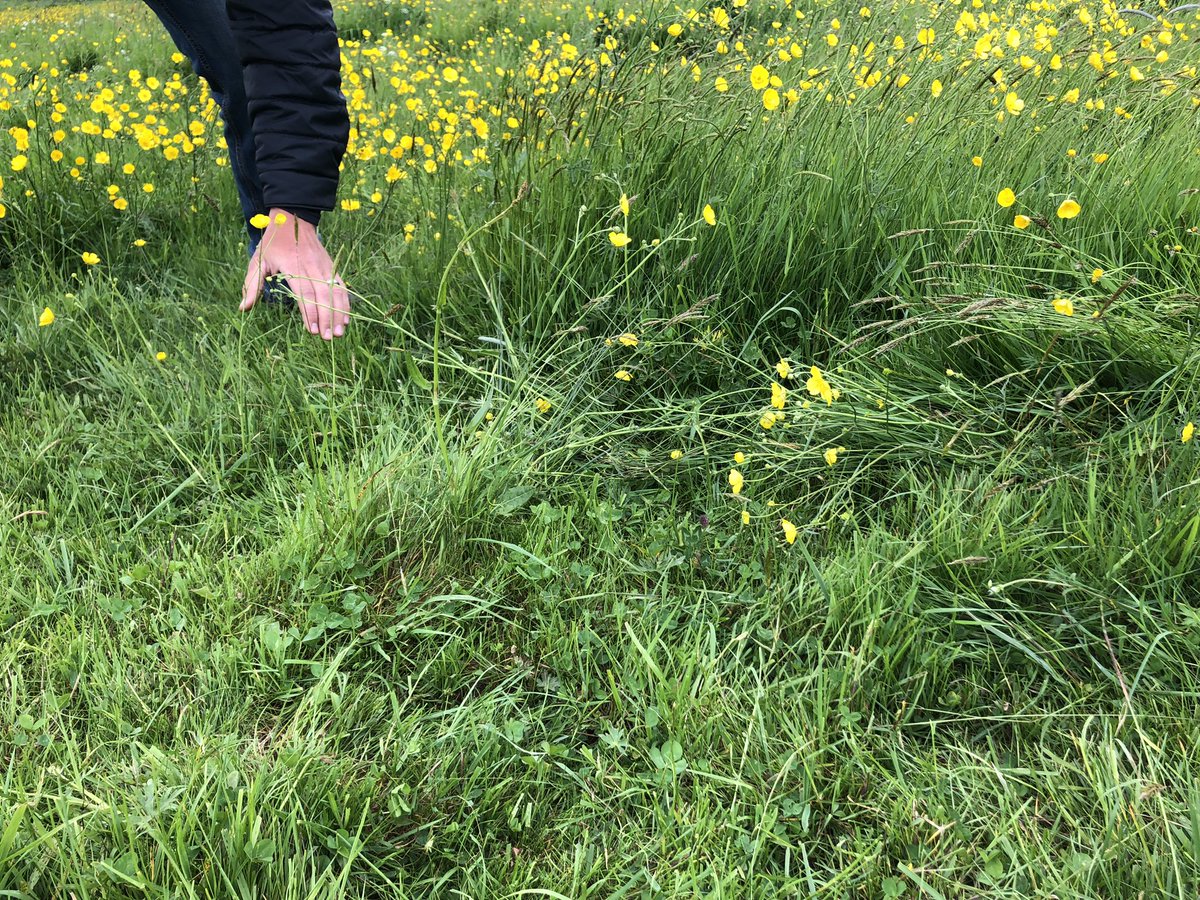 A super interesting few days as always at  <a href="/RealFarmED/">FarmED</a> to begin the RAAP programme. Expertly led by the <a href="/UnderstandingAg/">Understanding Ag</a> team. 

Great presentations, engaging discussions and practical guidance. Going away with lots to think about!