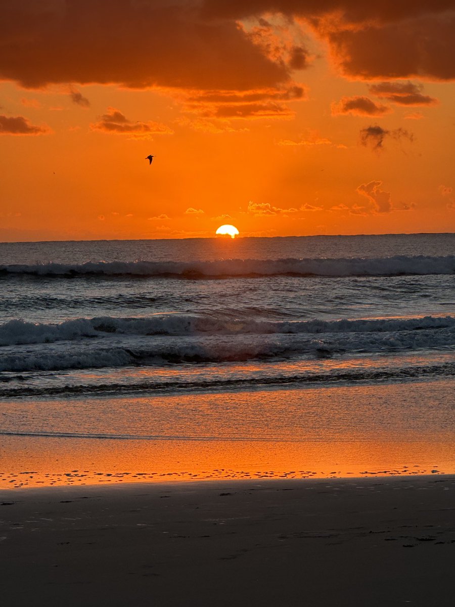 Annie O'Rourke (@founder89oe) on Twitter photo 