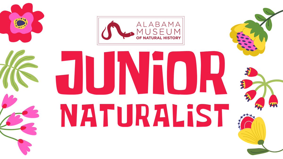 Grades 3-4 are invited to meet us at The University of Alabama Arboretum on May 29 from 10:30 am until 12:00 pm to explore the significance of plants and nature through gardening. 🌸 LEARN MORE: ➡️ bit.ly/3QI2LGq #Tuscaloosa #UniversityOfAlabama #Alabama #RollTide