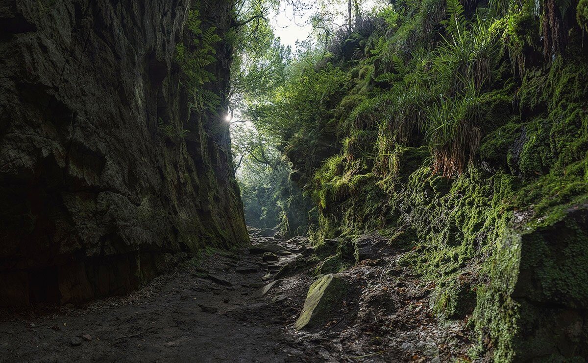 Lud's Church in Staffordshire.

Here’s a short film I made of this stunning landscape youtu.be/vv5ruJ-XlwQ?si…