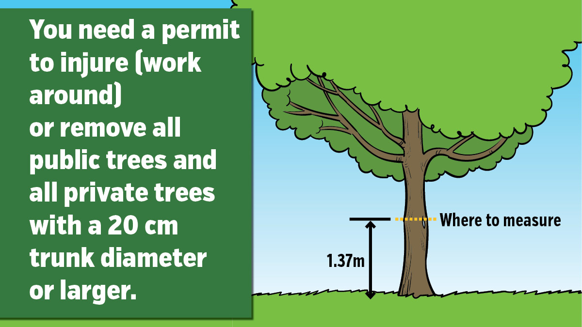 Curious about whether you do or do not need a tree permit? The City has a “Guide to Tree Protection” to help you determine a path forward before removing a tree from your property. View the guide: burlington.ca/forestprotecti…. #BurlON