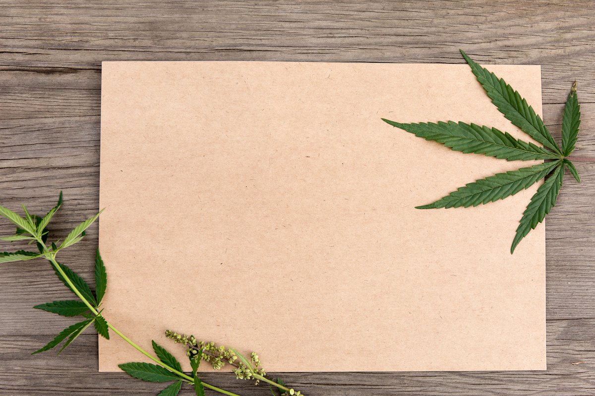 FHHSEvents's tweet photo. #HempFacts - Hemp paper, hundreds of years old (found in museums), has not been yellowed and is thus a high-quality archival paper.

https://t.co/AHbyg1TgW0

#freedomhealthhempshop #cannabisindustry #cannabiscultivation #hempcommunity #cannabisfacts https://t.co/trkmcgkEZi